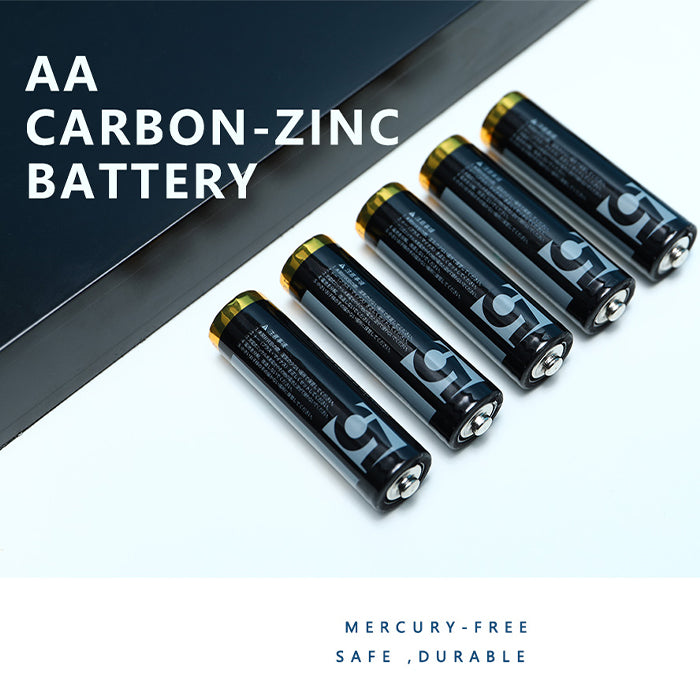 Pack of 10 AA Carbon-Zinc Batteries