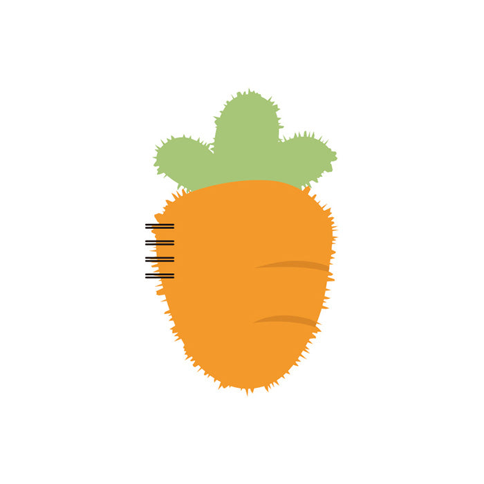 Serie Primavera – Taccuino a spirale a forma di carota